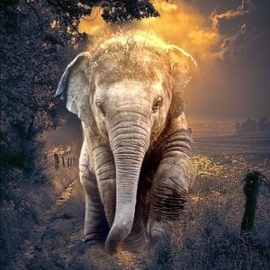 Meet your Posher, Eddie